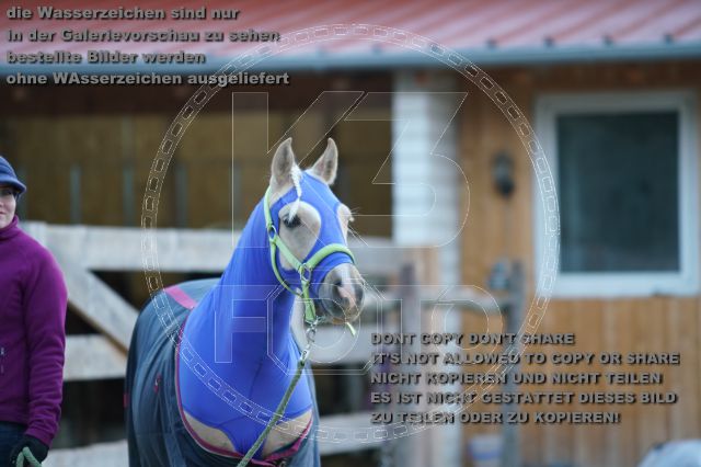 s_K3F07638.JPG